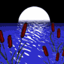 0035.gif