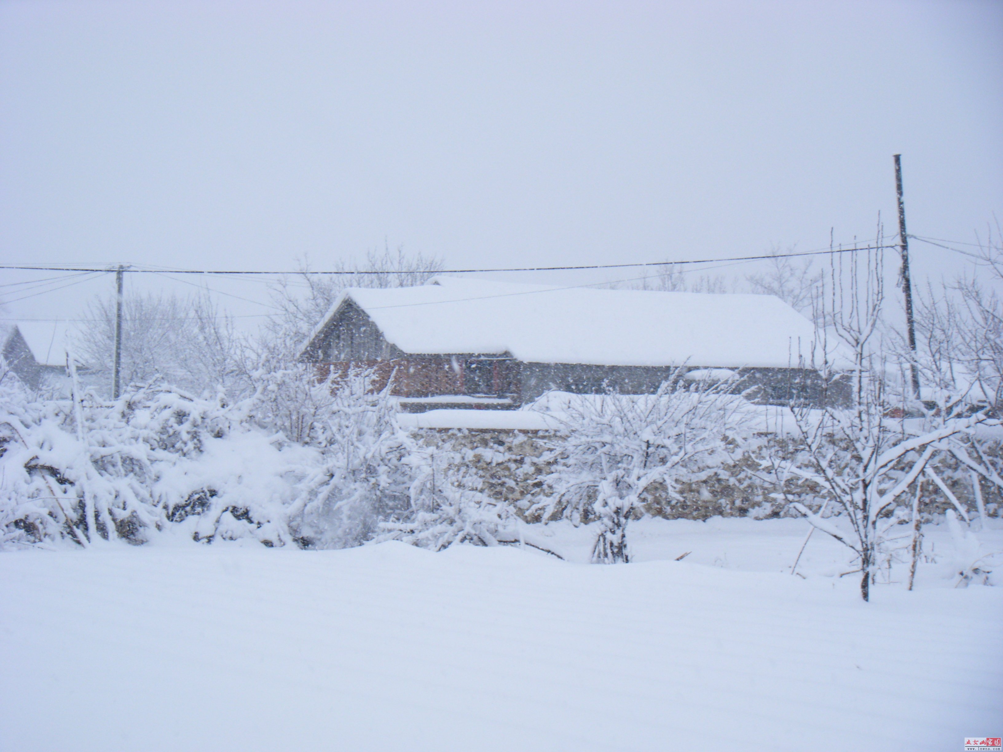 DSCF1453.JPG