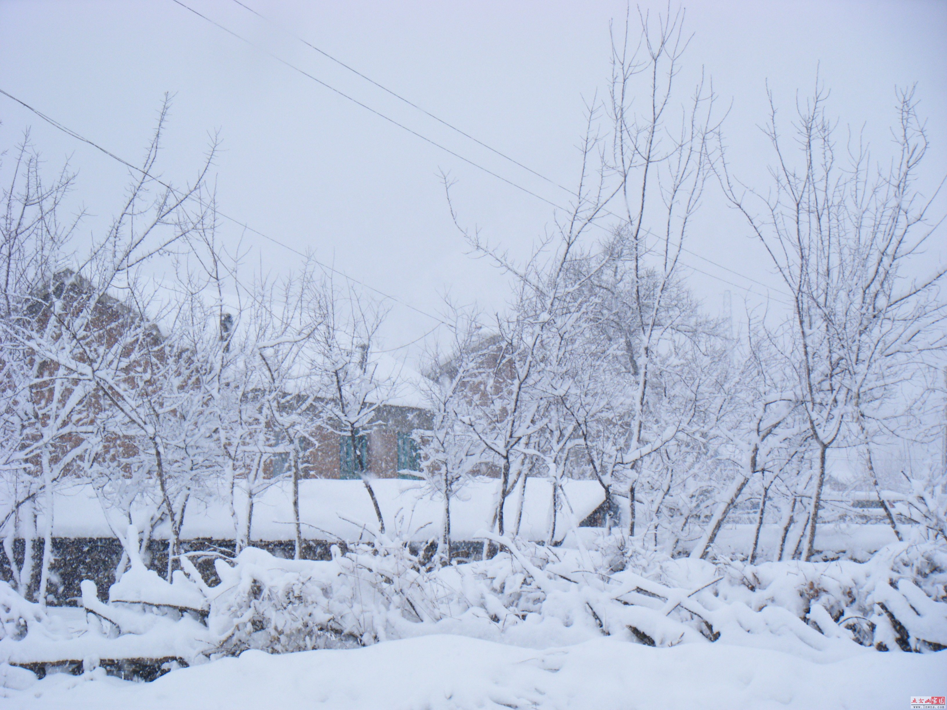 DSCF1454.JPG