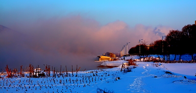 IMG_2600С.JPG