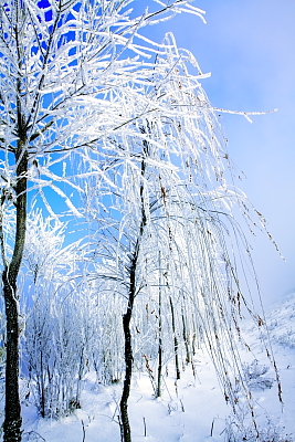 IMG_2673С.JPG