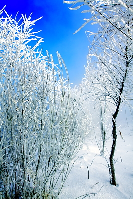 IMG_2674С.JPG