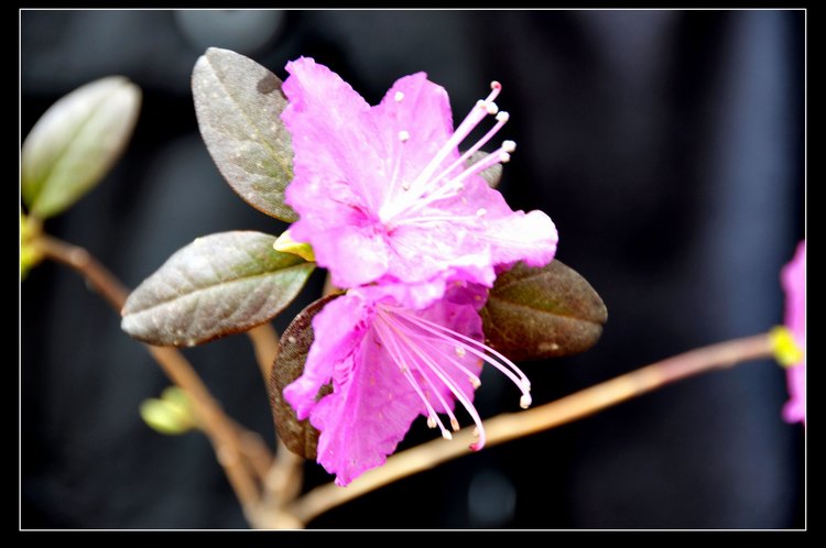 DSC_0094.JPG