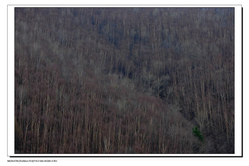 DSC_7765.jpg