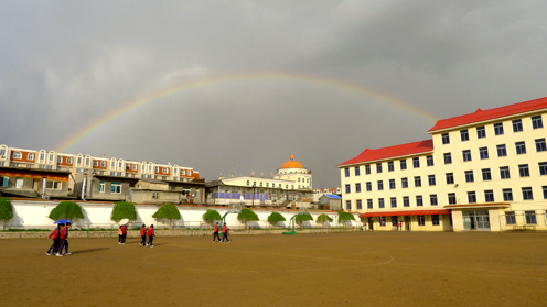 P1000351.jpg
