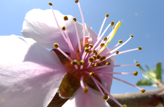 P1000434.jpg